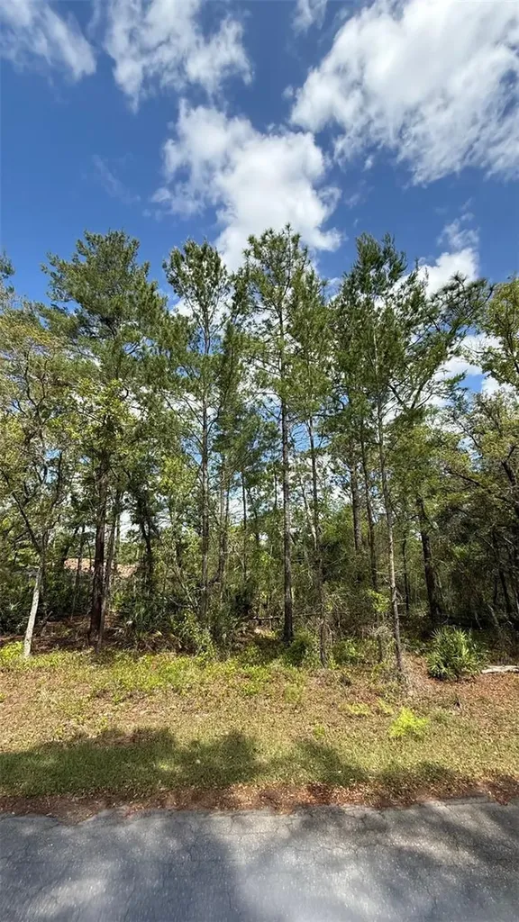Lot 15 Bay Court Ocklawaha FL 32179