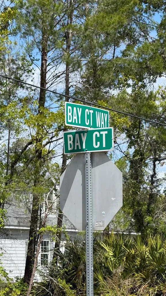 Lot 15 Bay Court Ocklawaha FL 32179