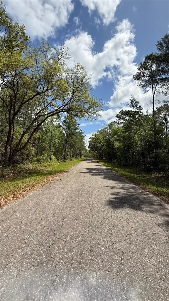 Lot 15 Bay Court Ocklawaha FL 32179