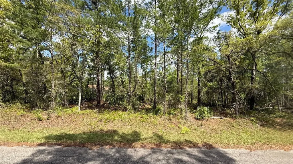 Lot 15 Bay Court Ocklawaha FL 32179