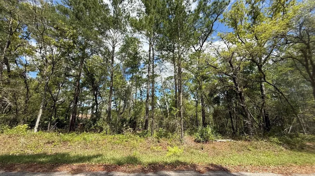 Lot 15 Bay Court Ocklawaha FL 32179