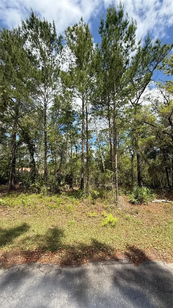 Lot 15 Bay Court Ocklawaha FL 32179