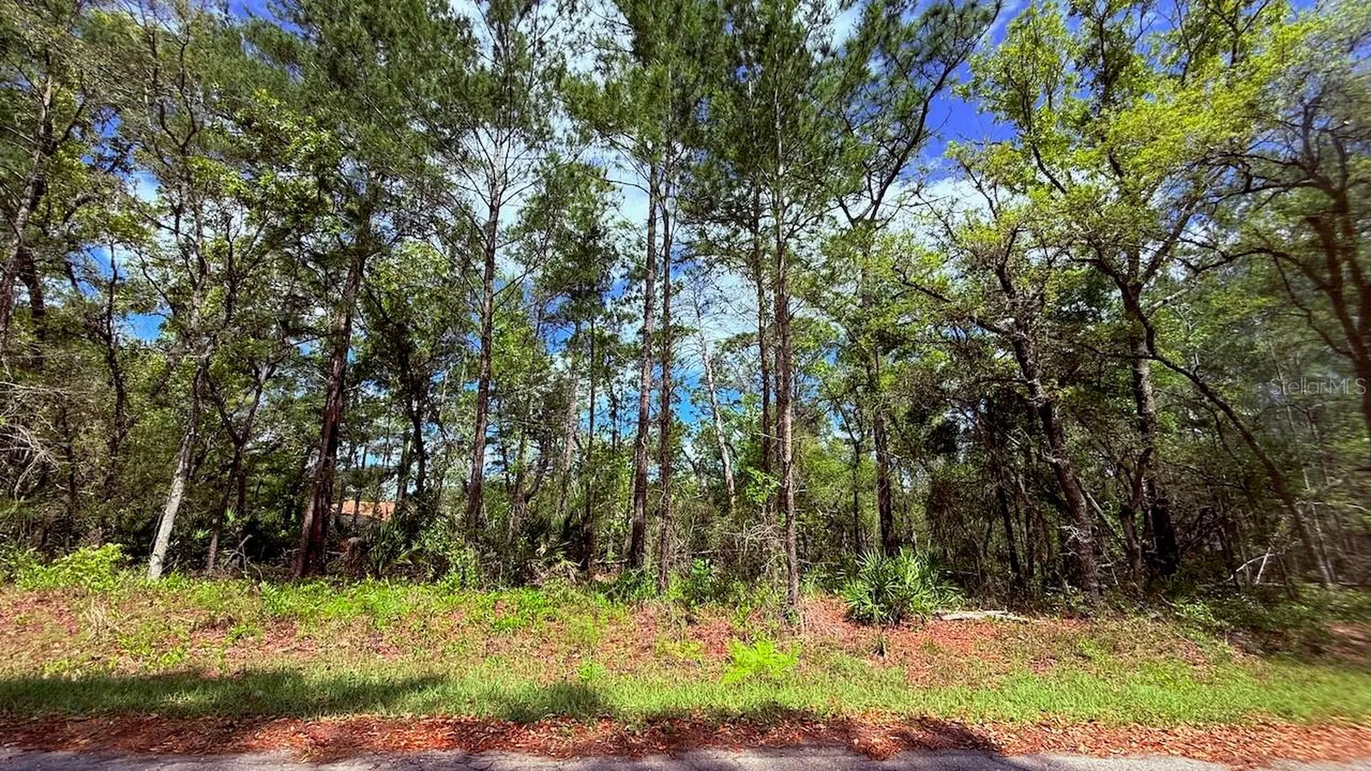 Lot 15 Bay Court Ocklawaha FL 32179