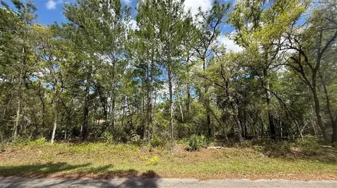 Lot 15 Bay Court Ocklawaha FL 32179