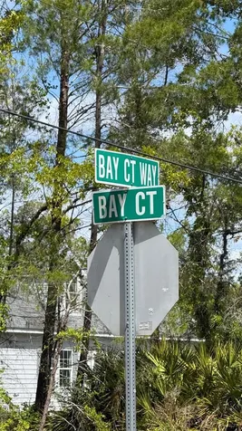 Lot 15 Bay Court Ocklawaha FL 32179