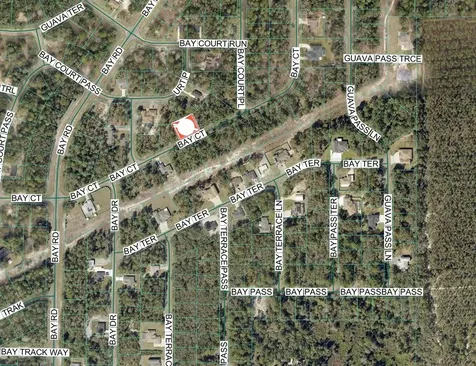 Lot 15 Bay Court Ocklawaha FL 32179