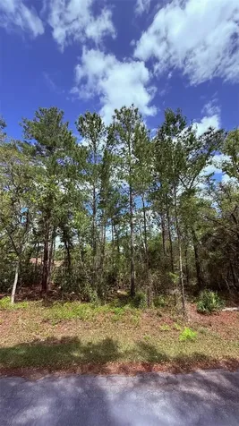 Lot 15 Bay Court Ocklawaha FL 32179
