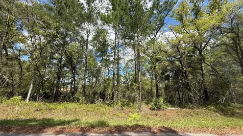 Lot 15 Bay Court Ocklawaha FL 32179