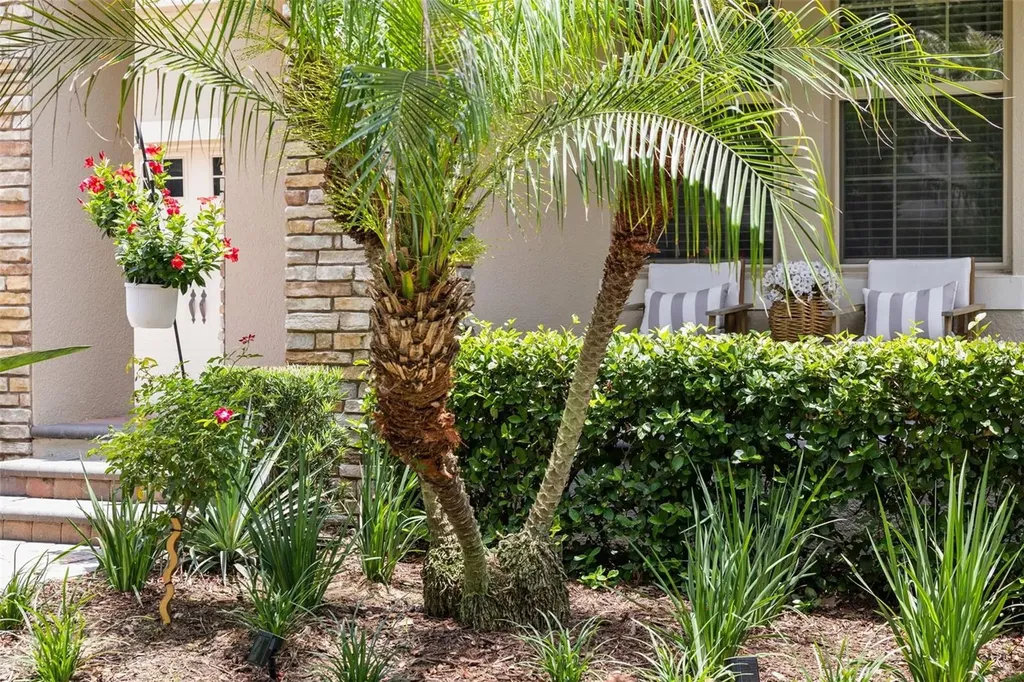 8275 Bayview Crossing Dr Drive Winter Garden FL 34787
