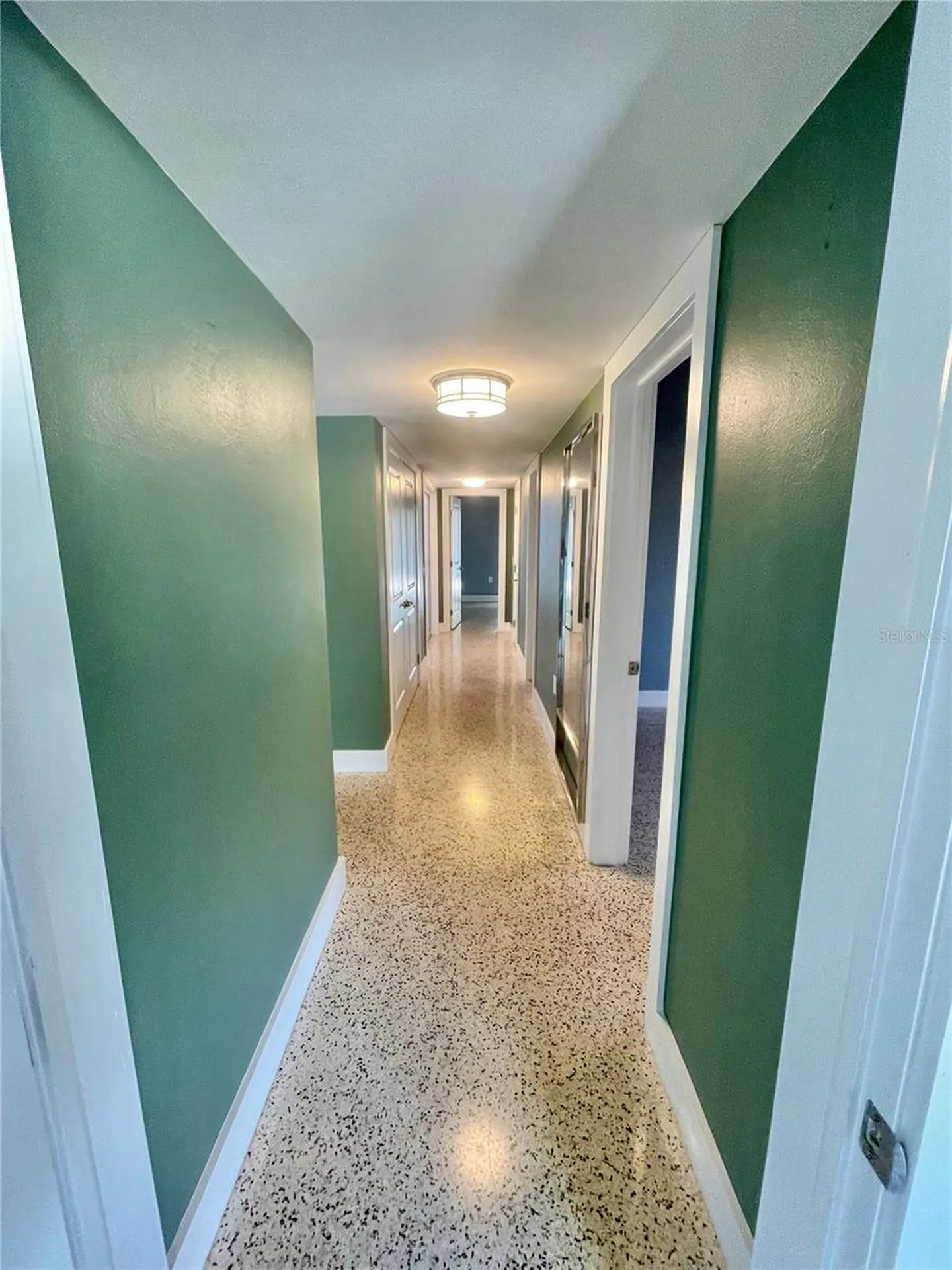 6519 Walton Way Tampa FL 33610