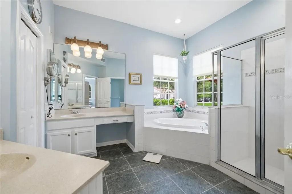 19106 Saint Laurent Drive Lutz FL 33558