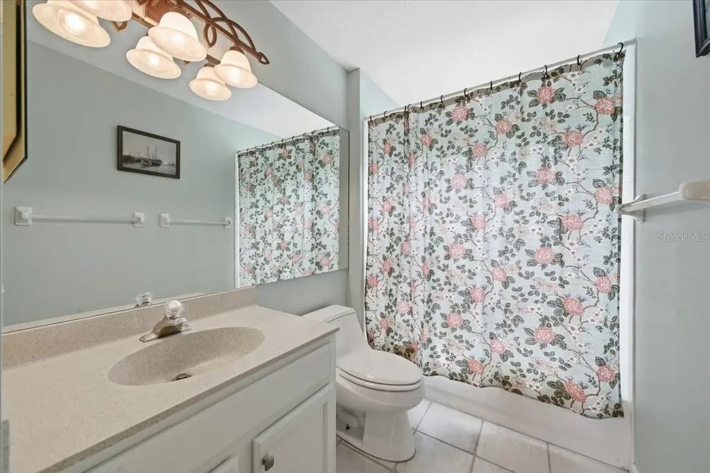19106 Saint Laurent Drive Lutz FL 33558