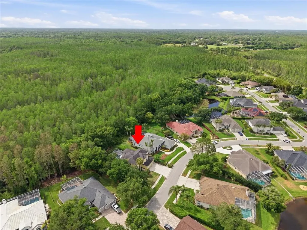 19106 Saint Laurent Drive Lutz FL 33558