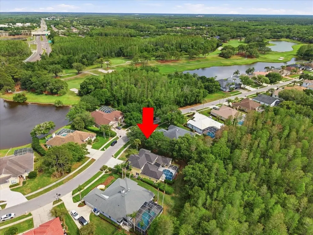 19106 Saint Laurent Drive Lutz FL 33558