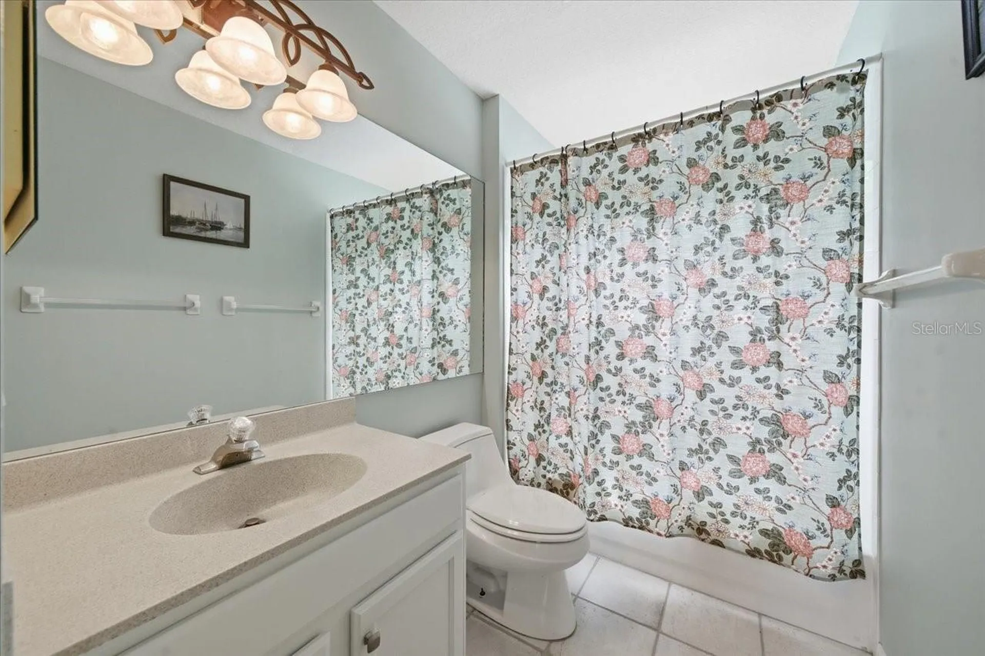 19106 Saint Laurent Drive Lutz FL 33558