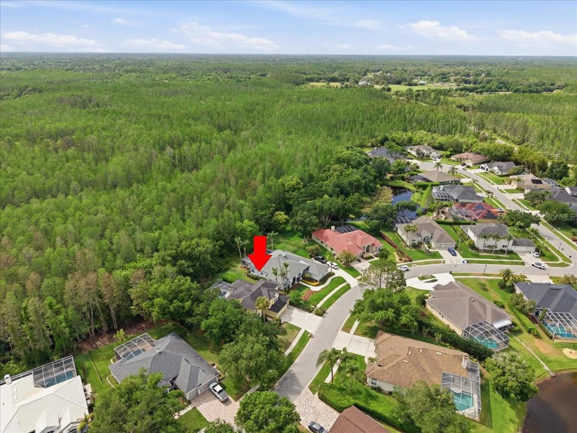 19106 Saint Laurent Drive Lutz FL 33558