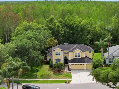 19106 Saint Laurent Drive Lutz FL 33558