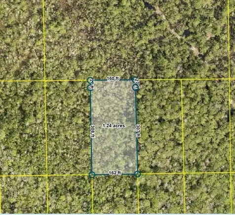 Pid 710801150080 No Street Deland FL 32724