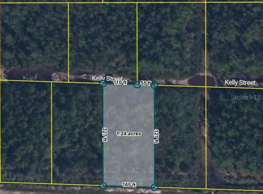 Pid 21-10-28-2775-00040-0157 No Street Hastings FL 32145