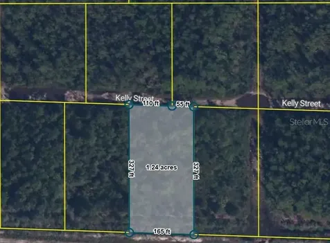 Pid 21-10-28-2775-00040-0157 No Street Hastings FL 32145