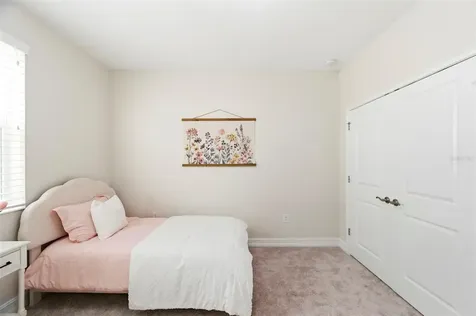 28907 Revaro Lane Wesley Chapel FL 33543