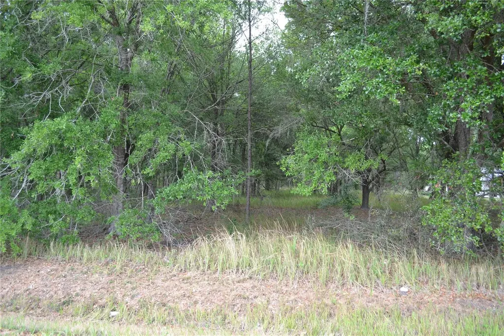 Bostick Road Bowling Green FL 33834