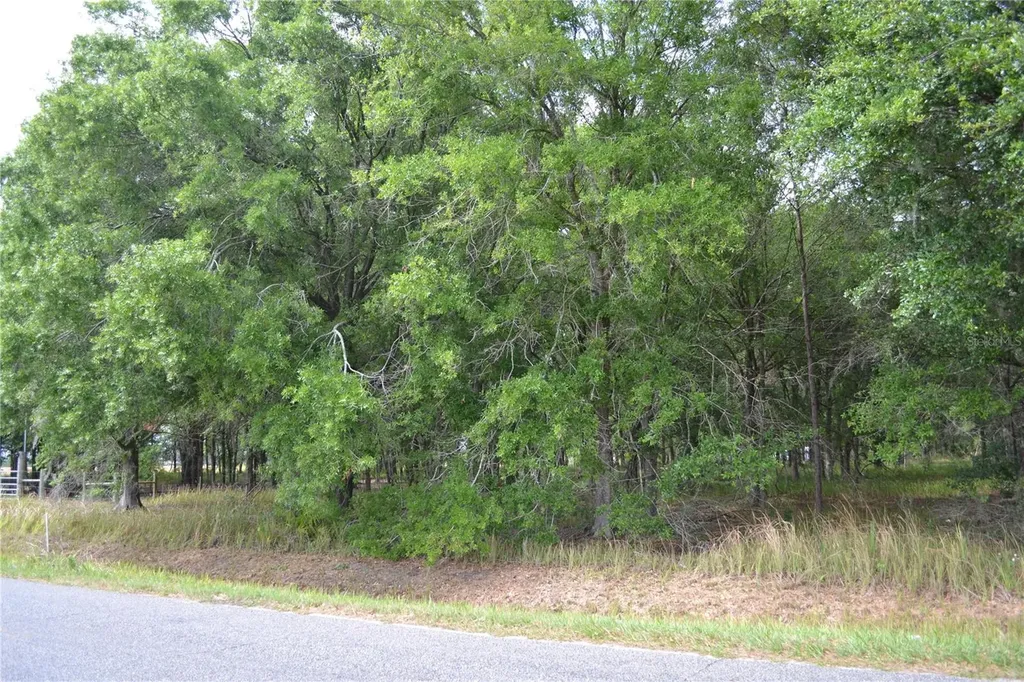 Bostick Road Bowling Green FL 33834