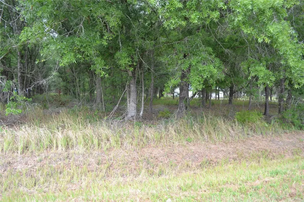 Bostick Road Bowling Green FL 33834
