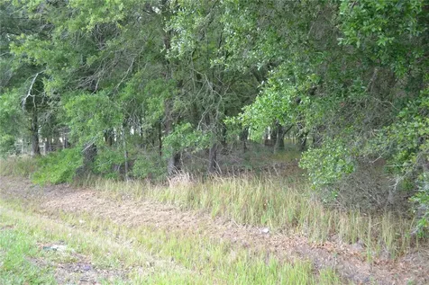 Bostick Road Bowling Green FL 33834