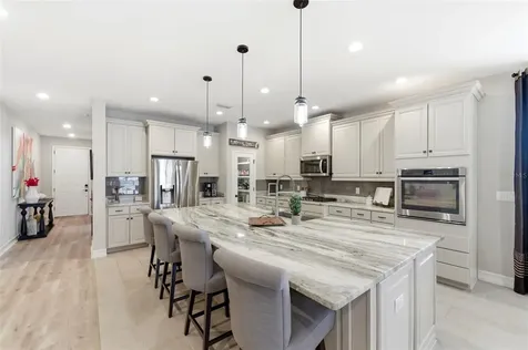 28707 Revaro Lane Wesley Chapel FL 33543