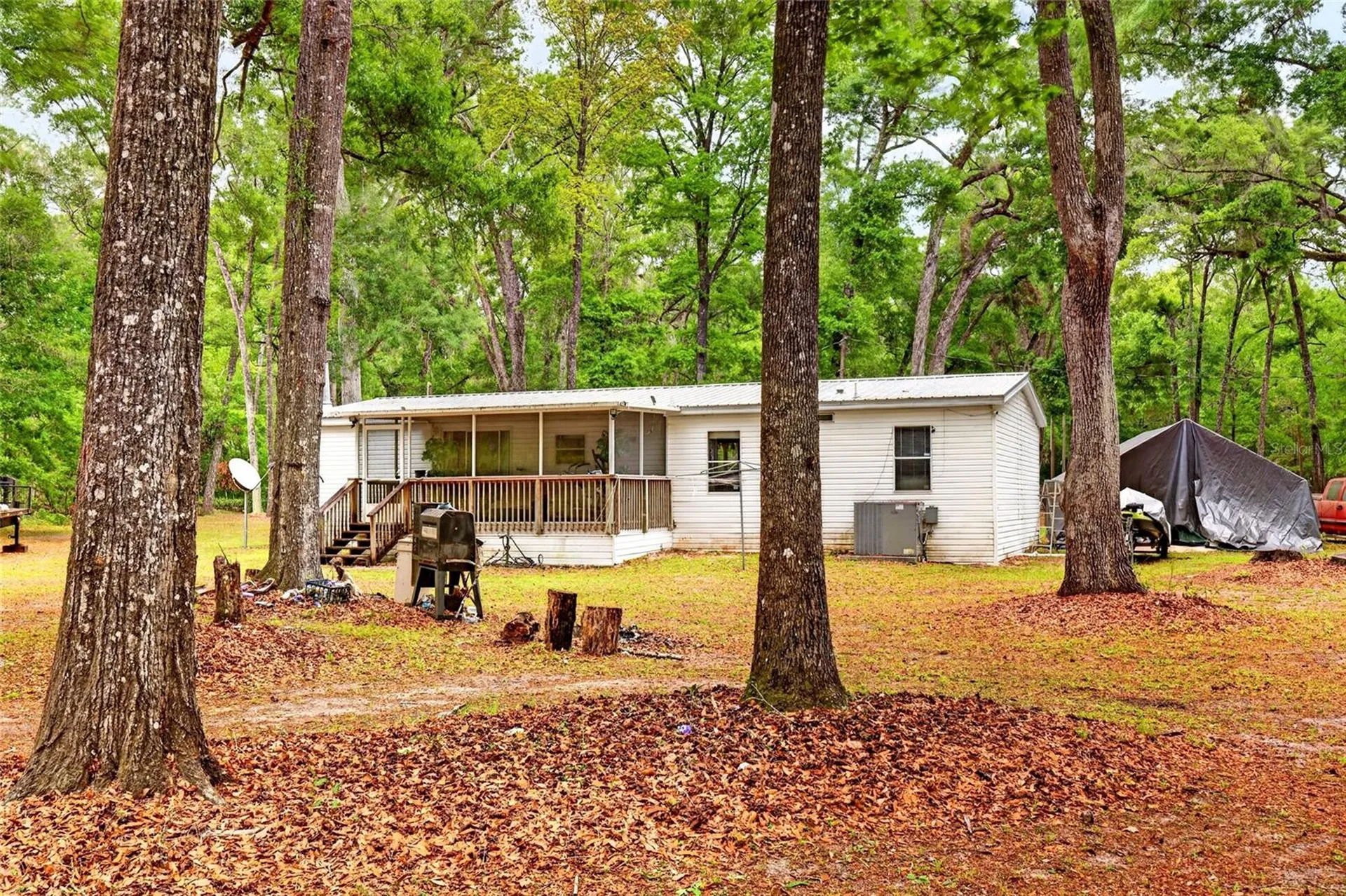 1502 NE 644th Street Old Town FL 32680