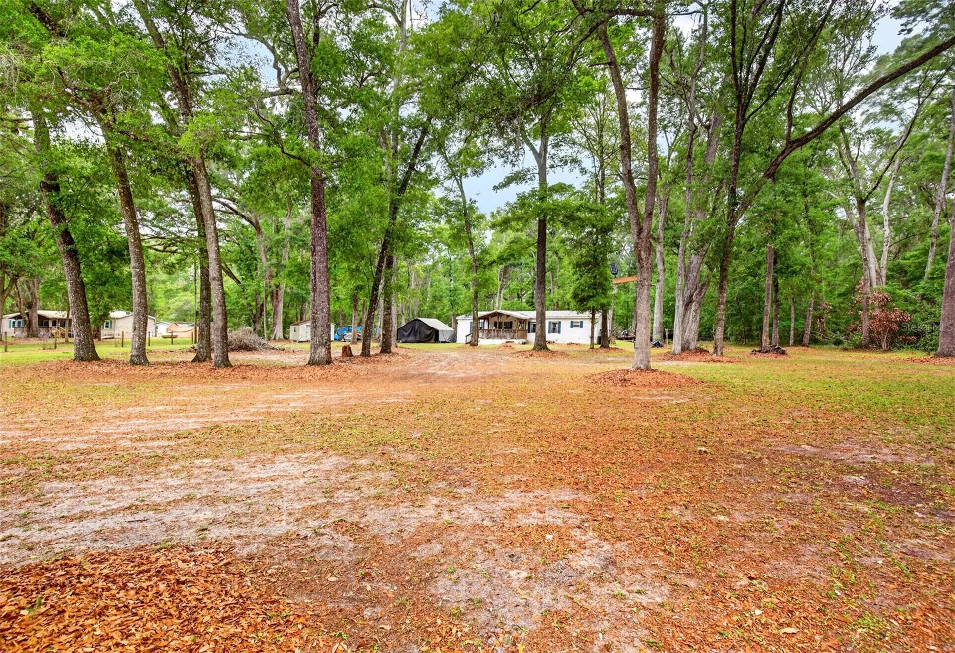 1502 NE 644th Street Old Town FL 32680