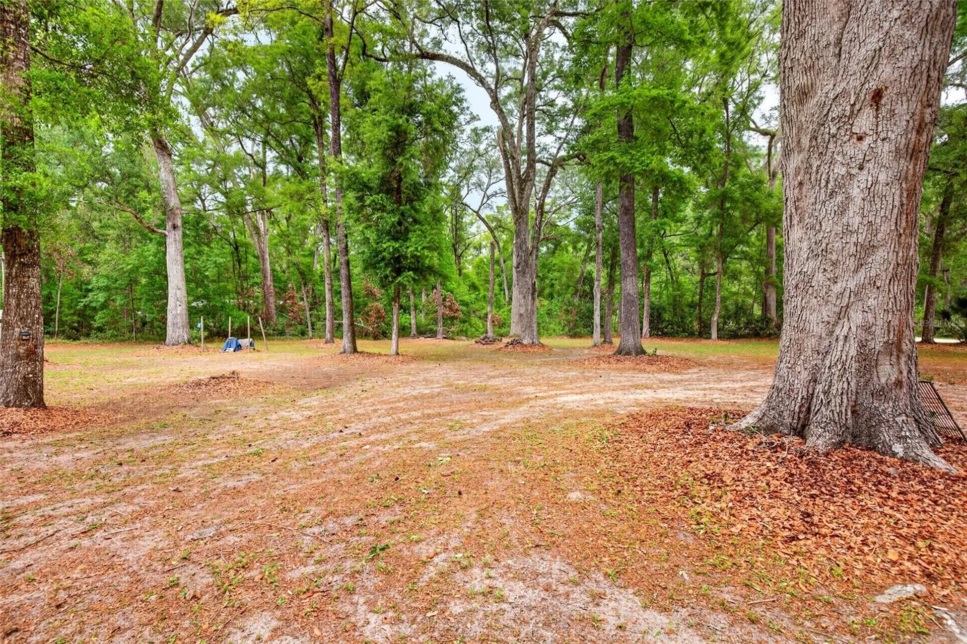 1502 NE 644th Street Old Town FL 32680