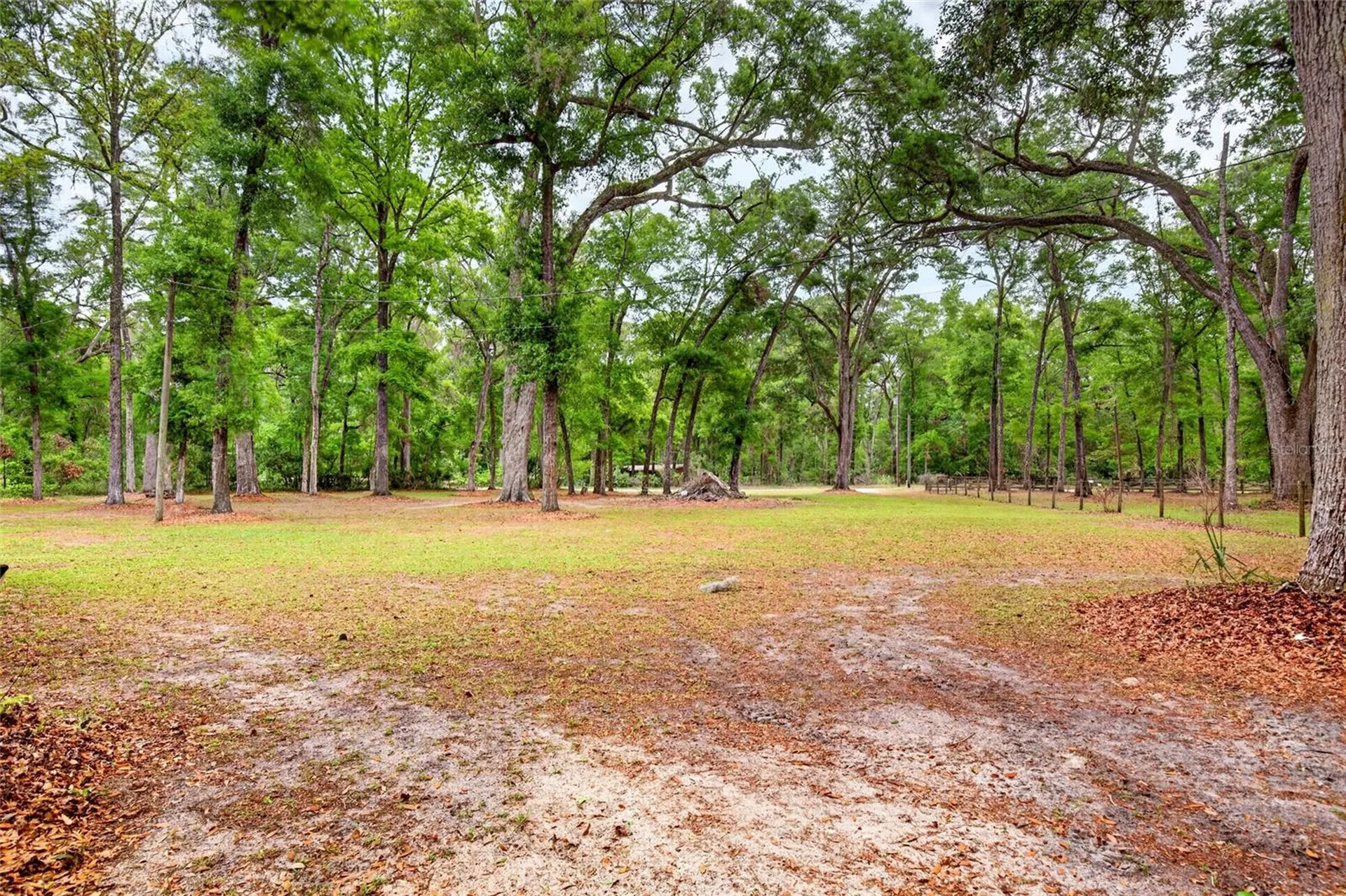 1502 NE 644th Street Old Town FL 32680