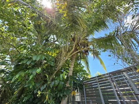 R13 Nebraska Guaynabo PR 00969