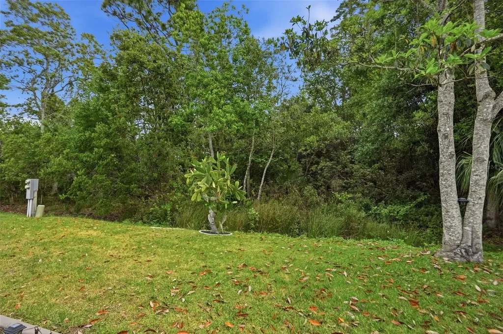 5161 Forest Glenn Drive Spring Hill FL 34607