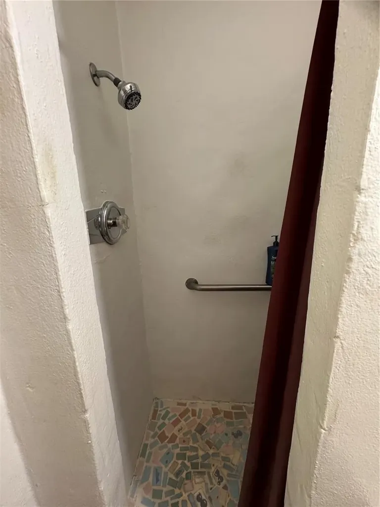 542 Roanoke Street Dunedin FL 34698