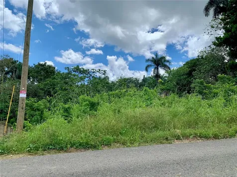 434 Km 2.4 Int. Rocha Ward Moca PR 00676