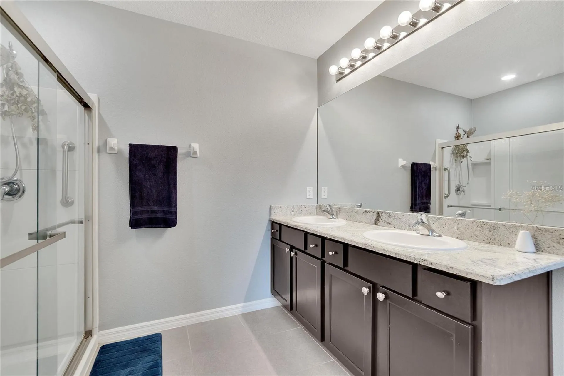 10324 Geese Trail Circle Sun City Center FL 33573
