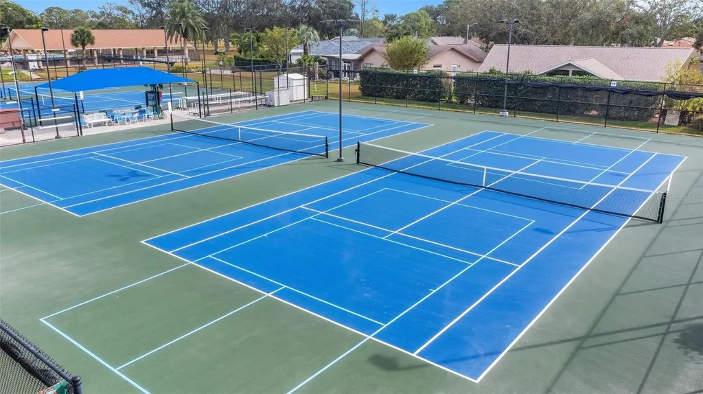 2700 Nebraska Avenue Palm Harbor FL 34684