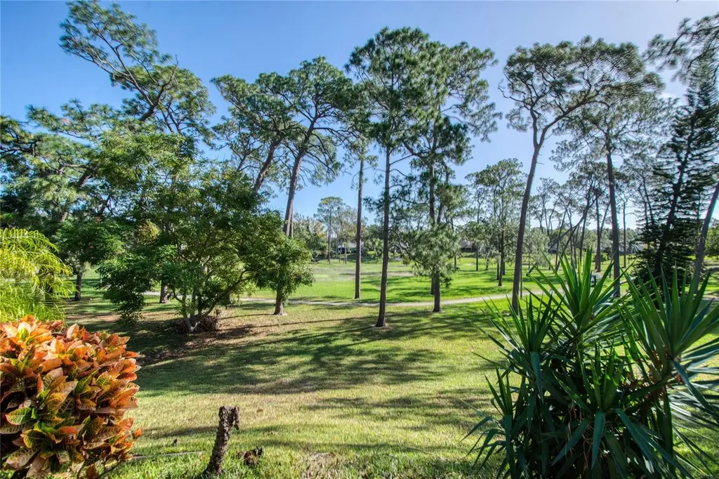 2617 Bentley Drive Palm Harbor FL 34684