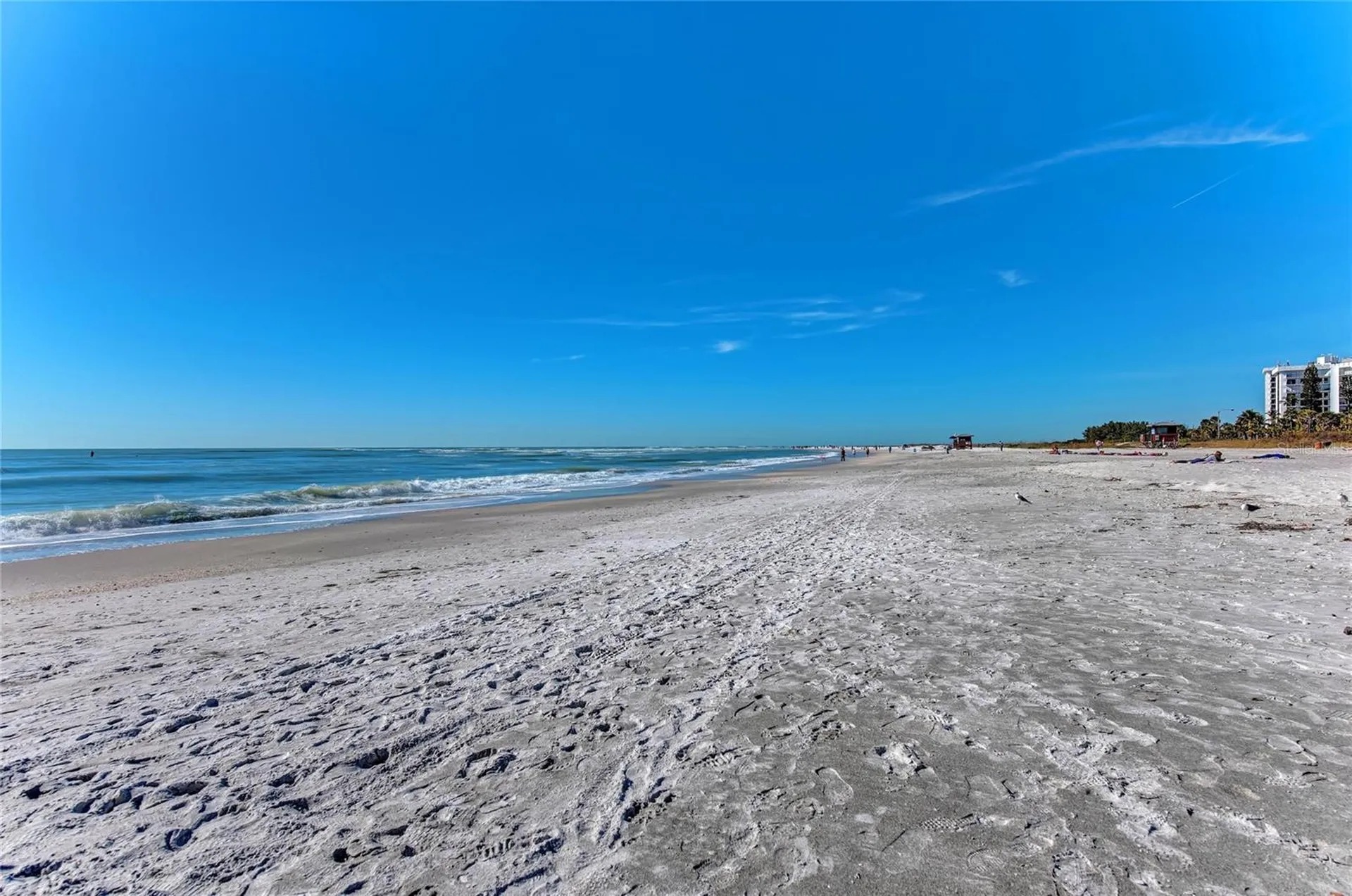 3720 Allenwood Street Sarasota FL 34232