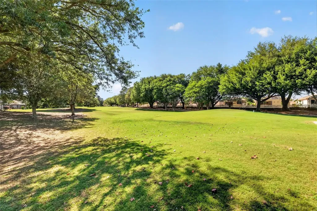 2160 Madero Drive The Villages FL 32159