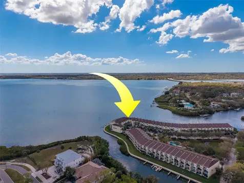 138 Brent Circle Oldsmar FL 34677