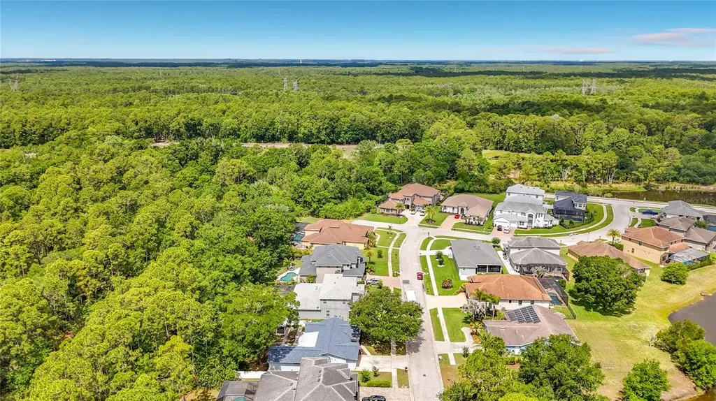 12912 Starling Drive Odessa FL 33556