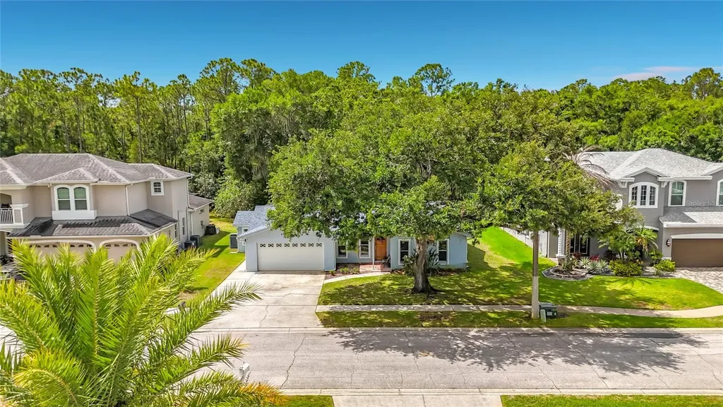 12912 Starling Drive Odessa FL 33556