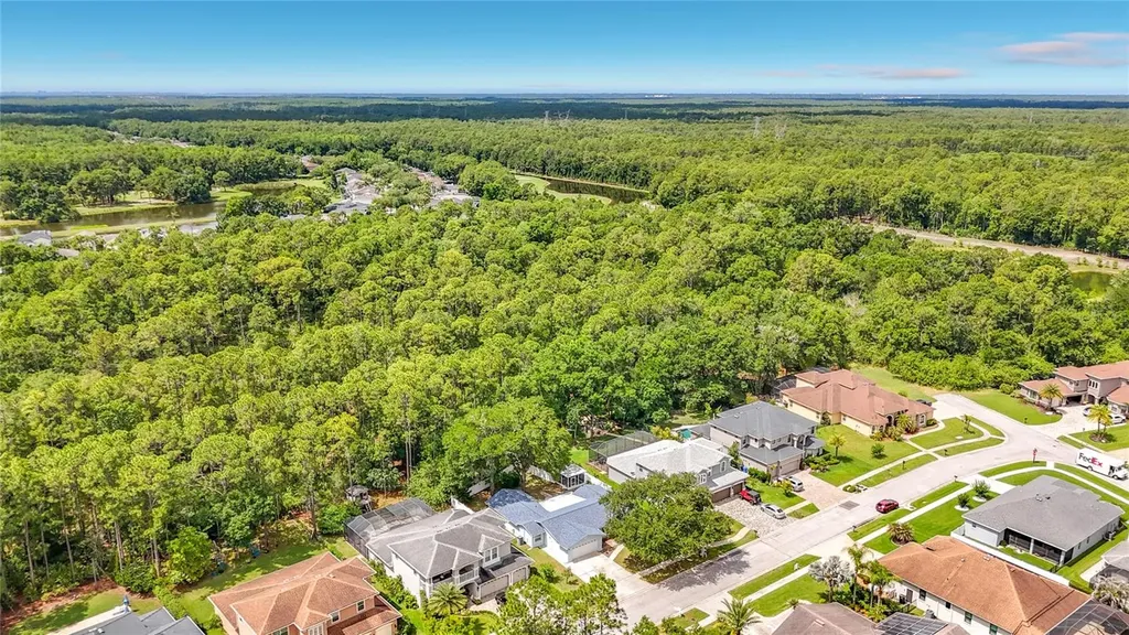 12912 Starling Drive Odessa FL 33556