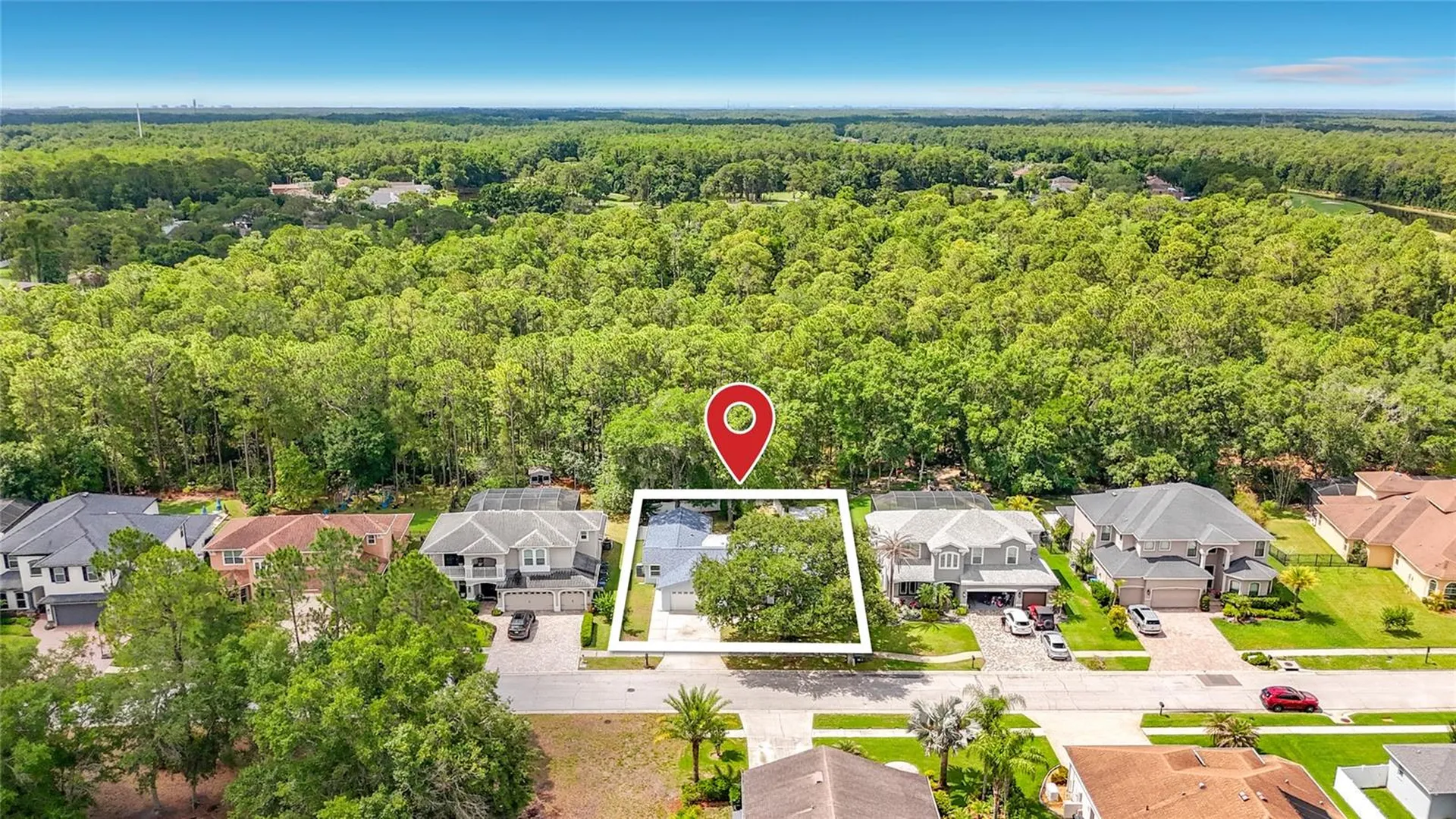 12912 Starling Drive Odessa FL 33556