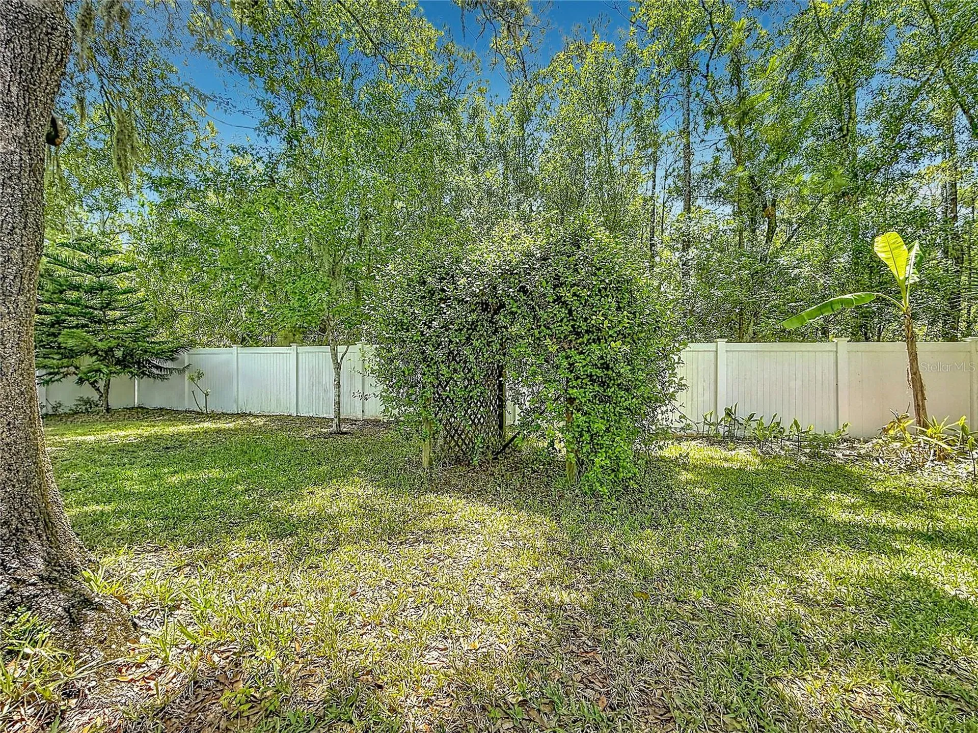 12912 Starling Drive Odessa FL 33556