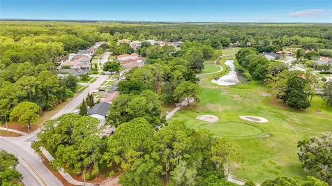 12912 Starling Drive Odessa FL 33556